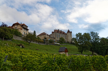 Wall Mural - le château de Gruyères