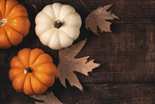 Top View Of Autumn Leaves And Mini Pumpkins On Wooden Background