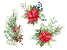 Watercolor Christmas Plants Set. Hand Drawn Winter Bouquets  Isolated On White Background. Poinsettia Flower, Eucalyptus Leaves, Fir Branches, Holly With Berries, Cotton Balls, Rosehip, Cone