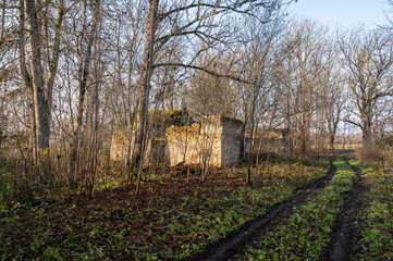 Canvas Print - ruins in countryside