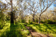 Yarra Trails in Melbourne Australia