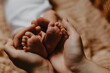 © Ananass - legs of a newborn baby in parental hands