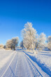 © Lars Johansson - Snowy winter road with hoarfrost on the trees on a sunny winter day