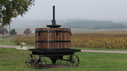 Sticker - Ancient wine press in foggy vineyard