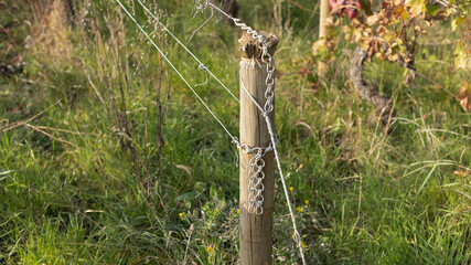 Sticker - Chains holding vine wires onto a post in a vineyard