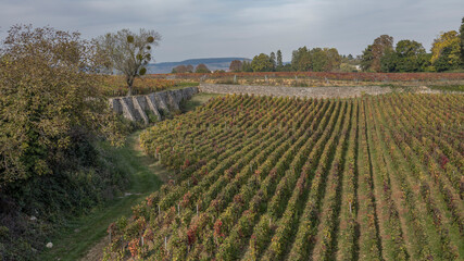 Sticker - Walled vineyards of the Burgundy region in Autumn