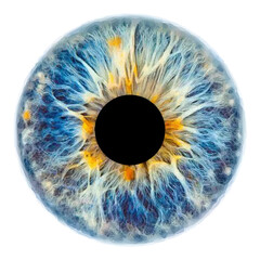 Blue eye iris pupil vector illustration isolated