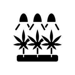 Poster - Cannabis cultivation black glyph icon. Grow herbs under artificial light. Marijuana seeds germination. Industrial hemp farm. Hydroponics. Silhouette symbol on white space. Vector isolated illustration