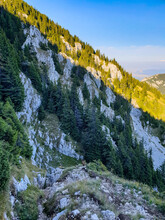 Padinile Frumoase Route, Piatra Craiului Mountains, Romania 