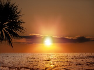 Sticker - Beautiful sunset tropical beach with palm tree and sky for travel and vacation in holiday relax time