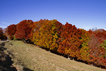 Automne sur le Mont Salève, Haute-Savoie