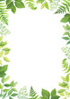 Floral frame template with forest herbs. Green leaves border with place for text. Vector illustration.