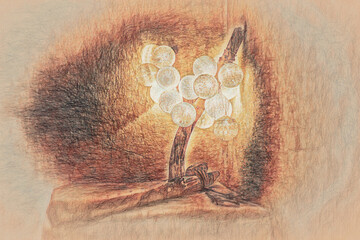 Poster - lamp with balls on woden stand and indian flute.