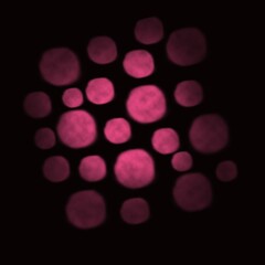 Wall Mural - lights background