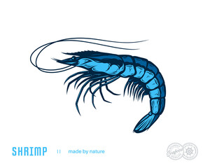 Poster - Vector shrimp flat style illustration. Seafood icon isolated on a white bkackground