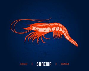 Poster - Vector shrimp flat style illustration. Seafood icon isolated on blue grunge background