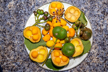 Pequi Fruits (Caryocar Brasiliense) At Various Stages Of Ripening Top View