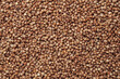 Buckwheat, not boiled, raw, kernel of grain, background, close-up