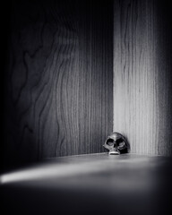 Poster - Grayscale shot of a skull in the corner of a wooden wall