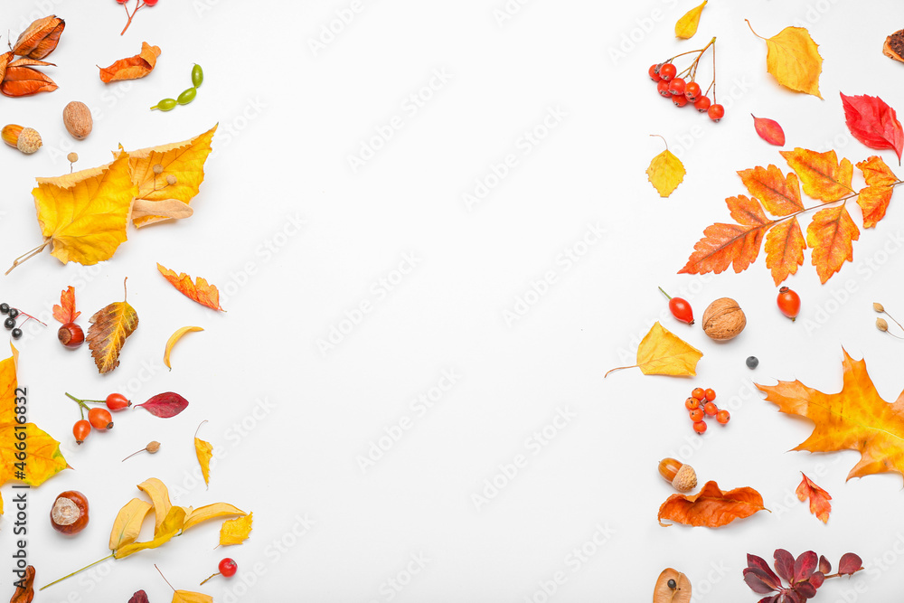 Autumn forest decor on white background