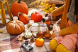 © Pixel-Shot - Young woman having romantic picnic on autumn day