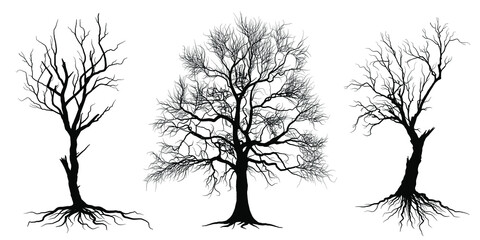 Wall Mural - silhouette of a tree