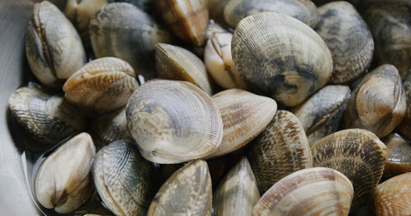 Canvas Print - Fresh raw clam prepare for cooking