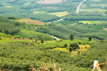 Wall Mural - Landscape mountains of northern Thailand.The mountain splits between Chiang Khong and Chiang Saen districts.