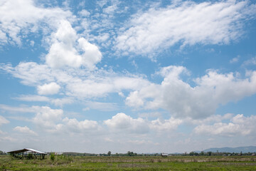 Wall Mural - The white clouds have a strange shape and country side.Cloudy and blue sky.