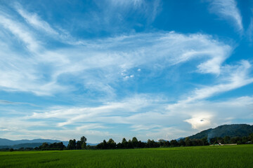 Wall Mural - The white clouds have a strange shape and country side.Cloudy and blue sky.