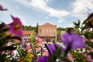 Wall Mural - Beautiful pink flowers frame the historic gold rush era architecture of downtown Truckee, California, USA.