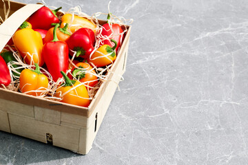 Wall Mural - Red and yellow sweet peppers in the basket on light gray concrete background. Ripe bio organic multicolored vegetables top view. Space for text.