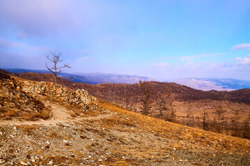 Wall Mural - Nature landscape with golden hills with a blue sky with white clouds in a day or a evening