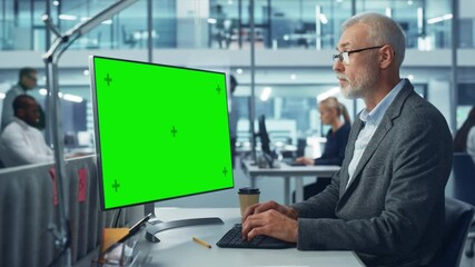 Aufkleber - Caucasian Senior Specialist Working on Desktop Computer with Green Chroma Key Screen Display in a Busy Corporate Office. Mature Male Manager Creatively Working In Multi-Ethnic International Workplace