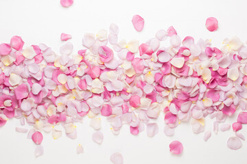 Wall Mural - Pink rose flowers petals on white background. Flat lay, top view, copy space.