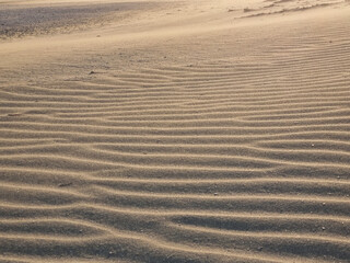 Poster - Closeup shot of wave sandy texture