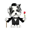 Illustration of Dog in Tuxedo with Rose