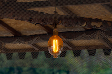 Modern energy saving filament led bulb edison style light lamp in a country house, modern technology, ecology concept.