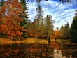 Herbststimmung - herbstlich Bäume am See - 8