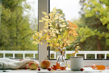 Autumn Still Life. Autumn Outside The Window. Tea Leaves