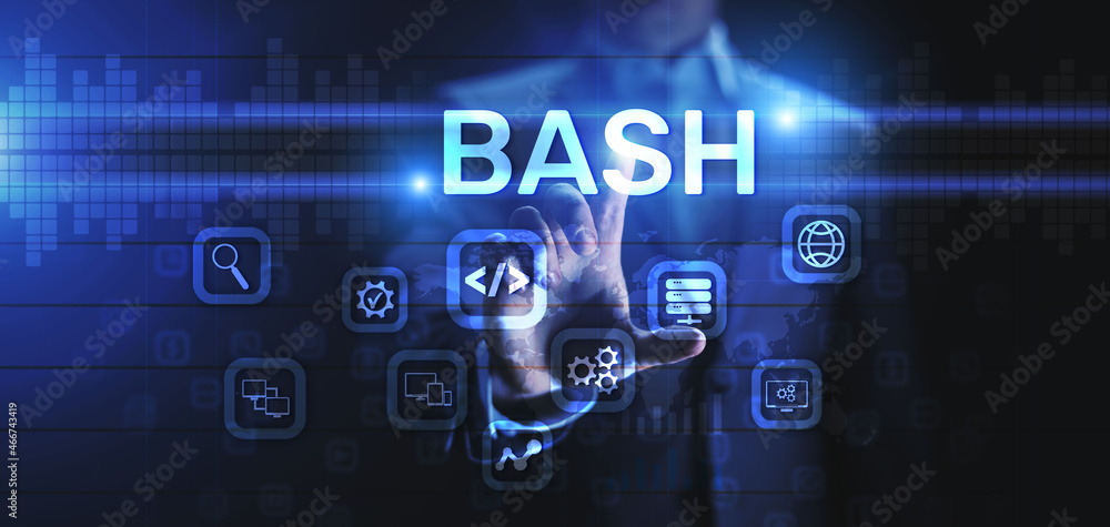 BASH Programming language software and web development internet ...