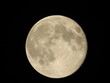 © Anitham - Full Moon, It is an astronomical body that orbits planet Earth. Natural satellite