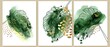 Set of elegant vertical watercolor exotic wallpapers, posters, wall art, cards, covers design. Monstera leaves