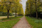 Fototapeta Przestrzenne - path in park