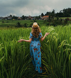 Fototapeta Miasto - Girl in dress walking in rice fields in Bali