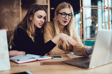 Wall Mural - Focused women using laptop in cafe