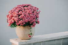 Bouquet Of Chrysanthemums In Vase Outdoors Decoration