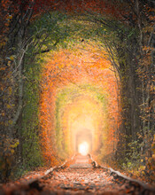 The Tunnel Under The Railway Is Formed By Tree Branches. Tunnel Of Love.