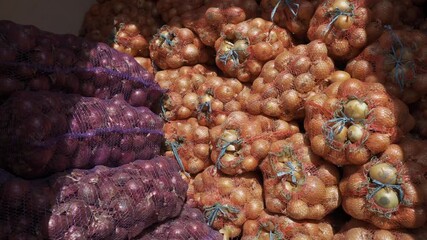 Wall Mural - harvest of yellow and purple onions in nets. wholesale of vegetables from the farm warehouse