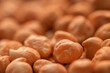 Pile of raw chickpea legume, macro shot with shallow depth of field